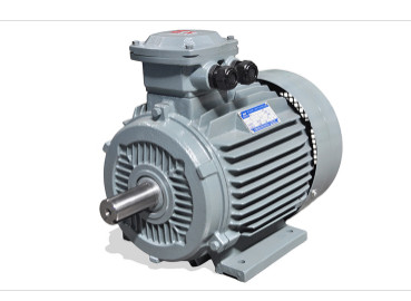 YFB3防爆(bào)三相異步電動(dòng)介紹