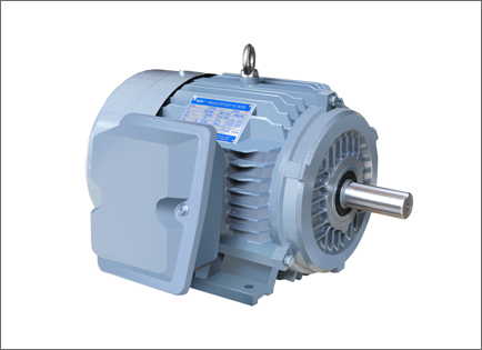 NE系列高(gāo)效高轉矩三相異(yì)步電動機