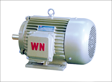 YD2系(xì)列變多(duō)速三相(xiàng)異步電(diàn)動機