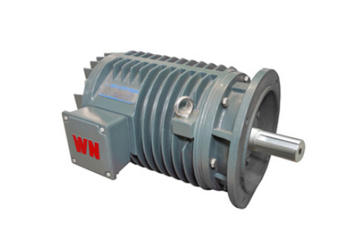 YG系列輥(gun)道用調速三相異(yì)步電動機